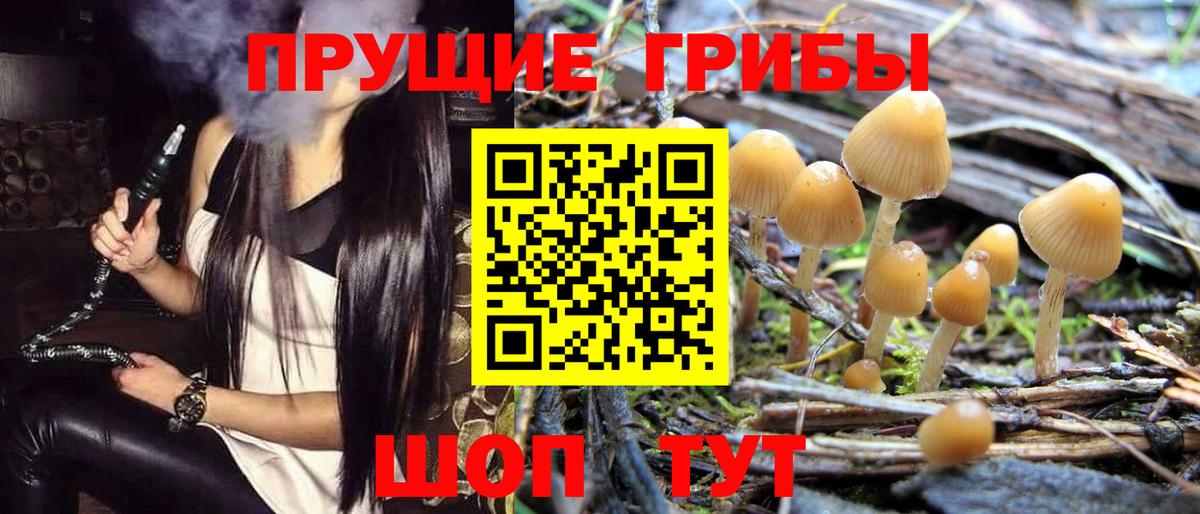 Псилоцибиновые грибы MAGIC MUSHROOMS  купить наркотик  Кулебаки  Вход с VPN 